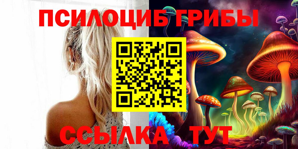 Майский  Галлюциногенные грибы Magic Shrooms  Вход с VPN  Псилоцибиновые грибы прущие грибы 
