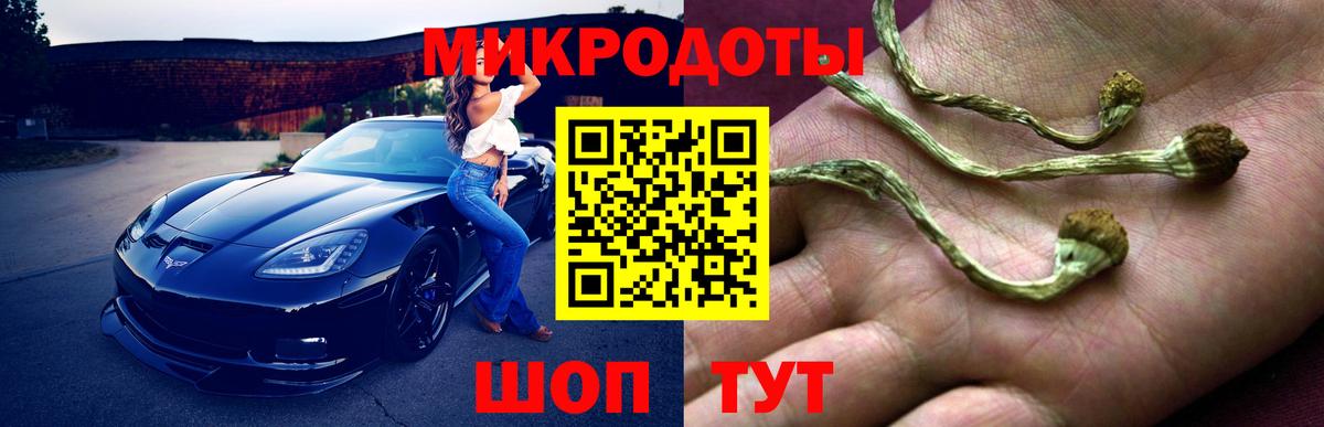 Псилоцибиновые грибы Psilocybine cubensis  Майский 